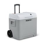 Beste koelbox camping IGLOO IE42 elektrische koelbox 42L – 12V en 230V – Thermo-elektrische koelbox met wielen en telescoopgreep voor auto, camper, camping en vrachtwagen – Koelt tot 20 °C onder de omgevingstemperatuur