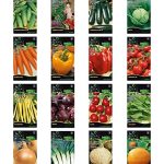 Beste tuinzaden Nojus - Groentezaad Set - 16 Pakjes - Verschillende Plantzaad Starterkit - Biologisch Tuinzaad Planten - 16 Soorten - Zaadbox